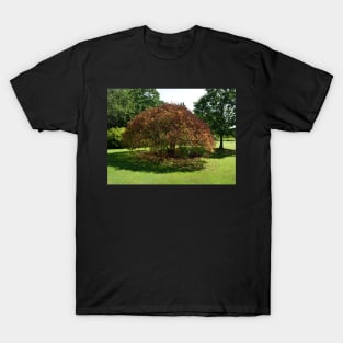 Brown tree among the greens T-Shirt